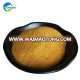 animal feed additive maize origin corn gluten meal for poultry